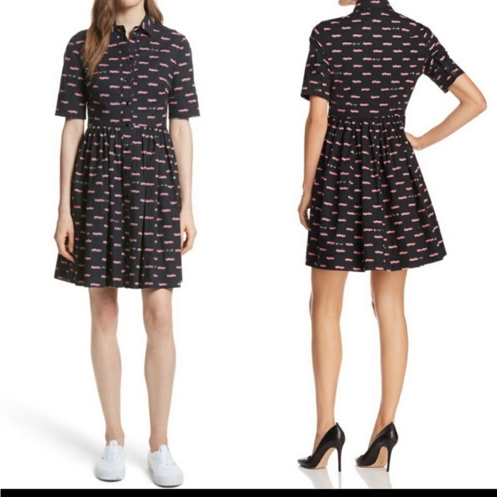 Off We Go hot Rod Poplin Collared Shirtdress